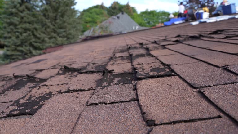 Best Slate Roofing  in Minerva, OH