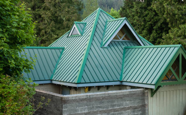 Best Storm Damage Roof Repair  in Minerva, OH