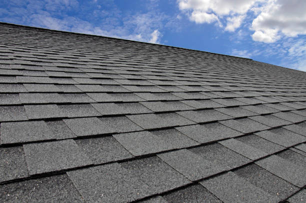 Best Roof Moss and Algae Removal  in Minerva, OH